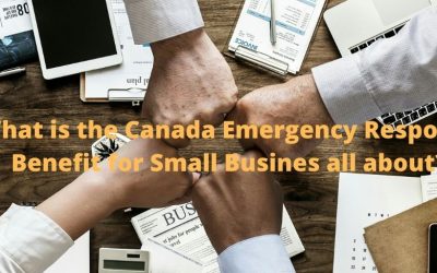 Canada Emergency Response Benefit for Small Businesses